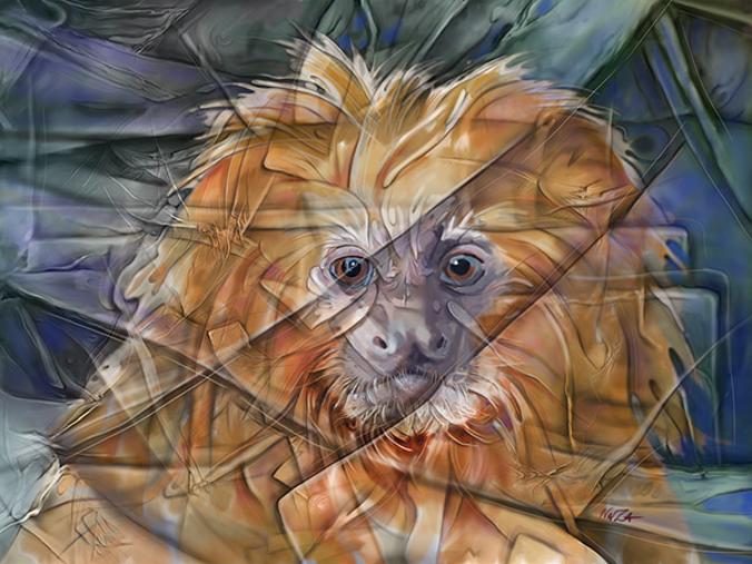 monkey artwork painting