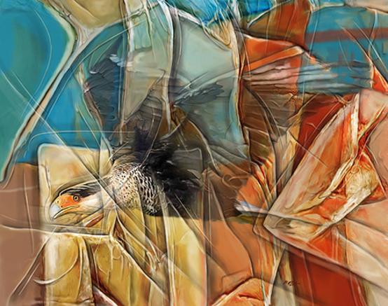 caracara bird artwork